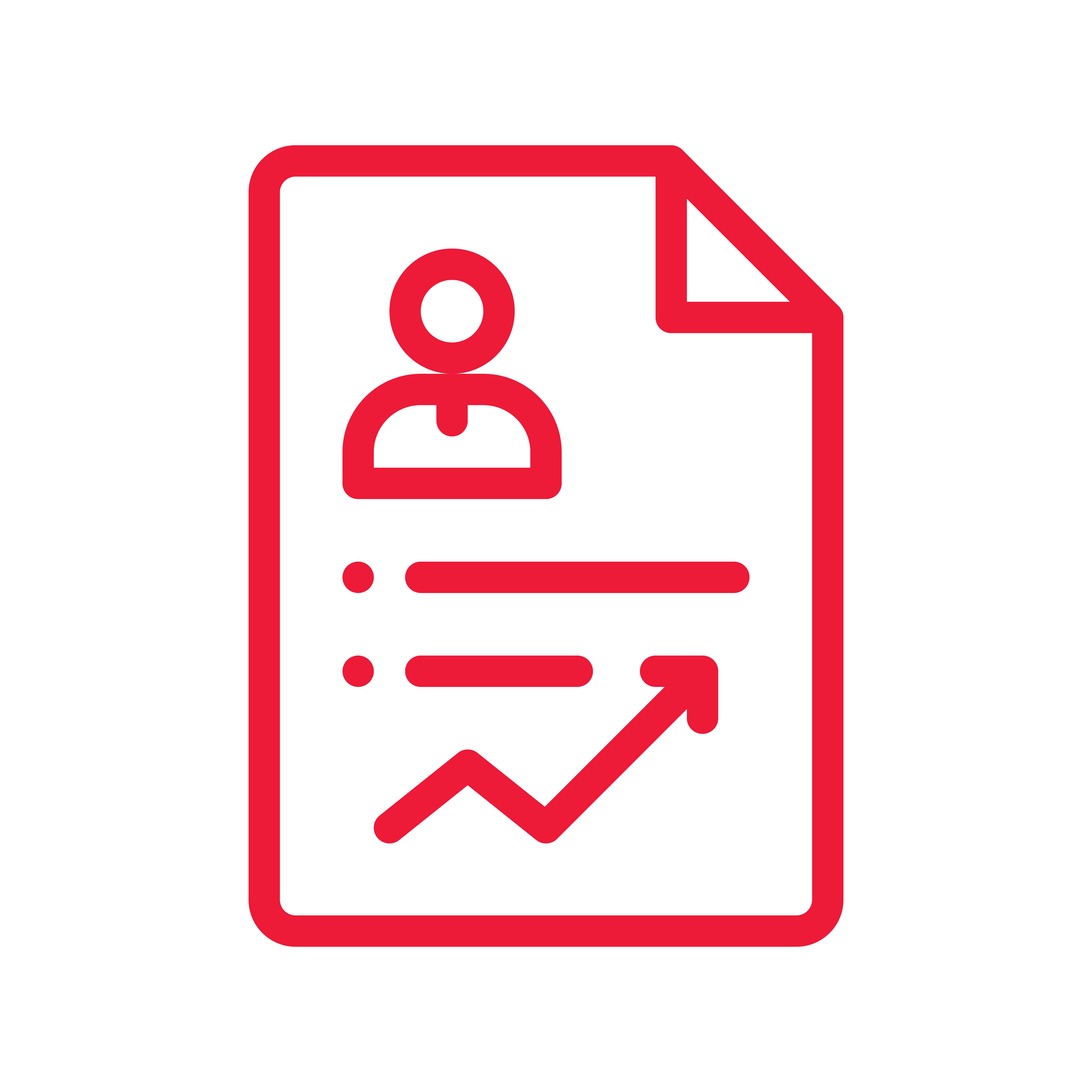 Document Icon